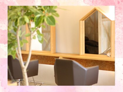 リコア(Likoa)の写真