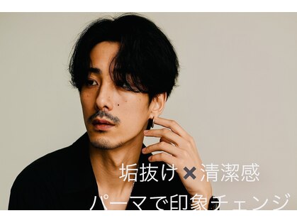 レイズ(RAYS)の写真