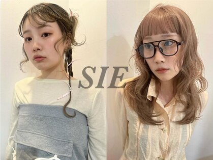 シイ(SIE)の写真
