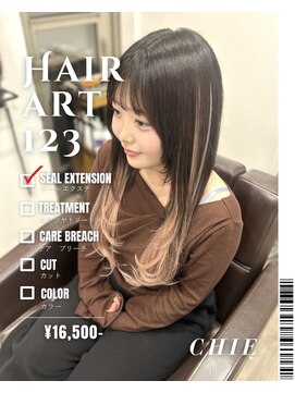 ヘアーアート ワンツースリー(HAIR ART 123) シールエクステ60枚