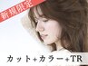 【白髪染めのお悩みに】カット + カラー + ミネラルケア