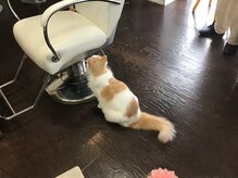 シエル Cielヘアーサロンの雰囲気（『これからもずっと綺麗』でいられるようお手伝いします♪）