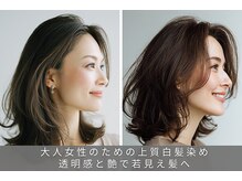 美容室ステラ 東大宮店の雰囲気（「脱白髪染めハイライト」・「白髪ぼかし」で変身しましょう！）