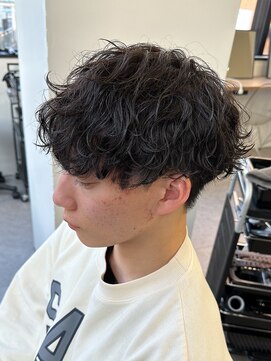 エルマーク(L-MARK) 波巻きパーマスパイラルパーマツイストスパイラルパーマメンズ