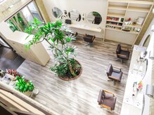 ヘアメイク エイムズ シュアーニューエイジ(HAIR&MAKE aim.s SUR UN NUAGE)の雰囲気（真ん中にはシンボルマークの大きな木が♪）