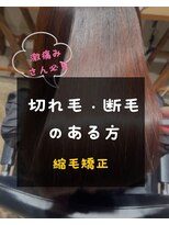 シスタ(CISTA) 切れ毛・断毛のある方/縮毛矯正