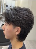 ジェントルウルフ中国ウルフマレットヘア