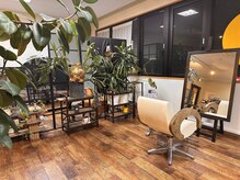 ノル(nol)の雰囲気（たくさんの緑あふれる森をイメージした店内）