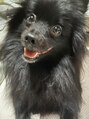 エレノア 吉祥寺北口店(Eleanor) 愛犬です♪わんちゃん好きの方ぜひお話しましょう!