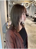 オリーブウルフボブ 【鎌田 隆雅】