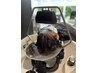 【田中指名限定】疲れてませんか？　頭浸浴＋コタスパ＋TR 12000→11000