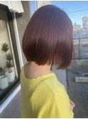 バイオレットカラー