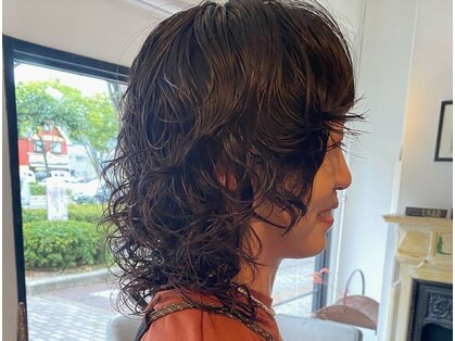 エルラド(LRAD)の写真