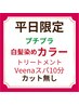 【カラーのみ/白髪染め】カラー+Tr+Veenaスパ10分 ※料金詳細参