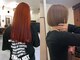 ミヤタ (Miyata)の写真