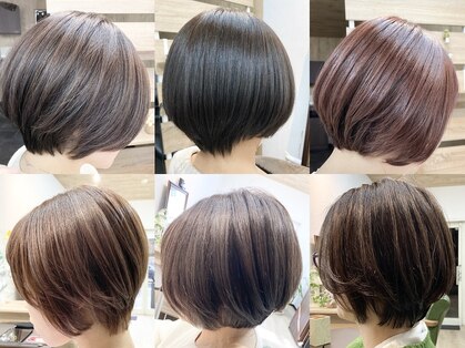 時わすれの森の写真