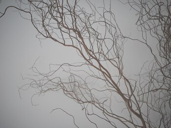 ミシンの写真/余白ある空間と音。
