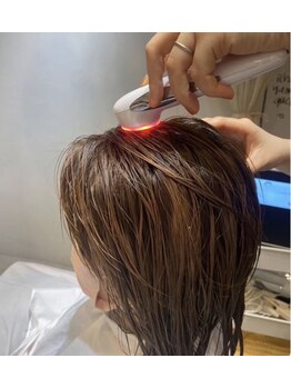 エルノンライン(L/nonline)の写真/髪の未来は、頭皮から変えていく！！　　人幹細胞培養液配合の頭皮ケアで、未来の髪を考える新習慣！！