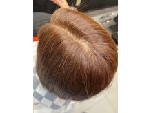 ニューヨークコレクション(New York Collection)