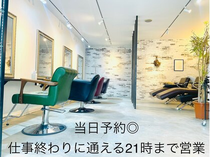 レイズ(RAYS)の写真