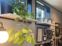 ヒゲメガネ(higemegane)の雰囲気（オーナーこだわりのオシャレな店内／富士市／吉原／ハイライト）