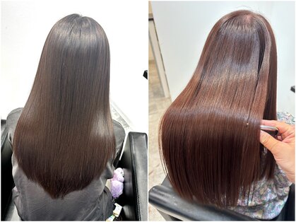 イマ(ima)の写真