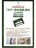 【新規様限定】　カラー４ヵ月定額制チケット　￥13200→￥8800　【枚数限定】