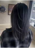 シルバーバレイヤージュ