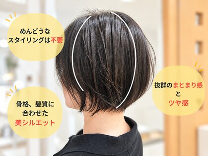ネクサス NEXUSの写真