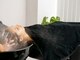 アヴソリューク(Absoluk)の写真/束の間のリラックスタイムを過ごせる”炭酸泡スパ”♪思わず眠ってしまう極上のサロンタイムを体験―