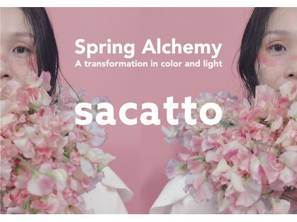 サカット(sacatto)の写真