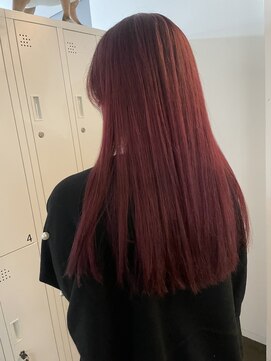 プラスディー(+D) ボルドーカラー