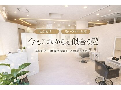 アミ(Ammi)の写真