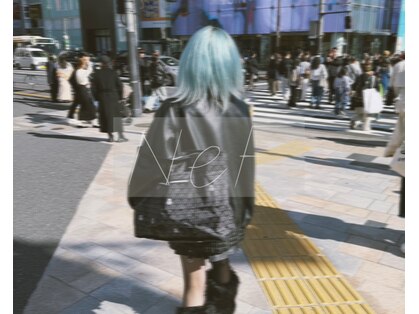 ネフ(NeF)の写真
