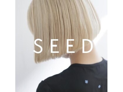 シード(SEED)の写真