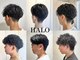 ハロ 蕨(HALO)の写真