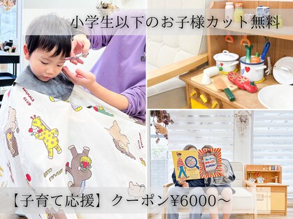 トイ(TOY)の写真