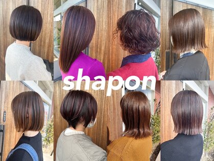 シャポンの写真