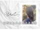 ヴェール(Veil)の写真