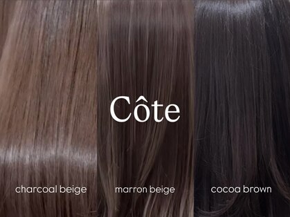 コート 表参道(Cote)の写真