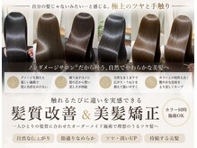 ラヴィズム 小新店(LUVISM)