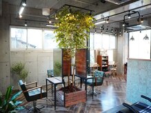 カラーキッチン 都立大学店(color kitchen)