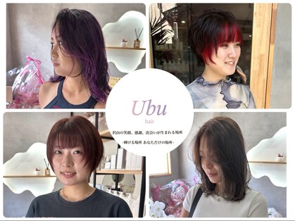 ウブ(Ubu)の写真