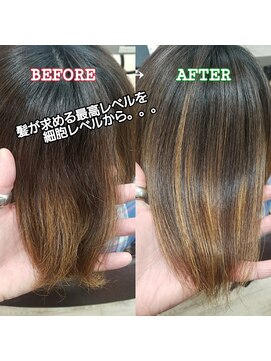 ルーミールーム(RoomieRoom) 鶴園なおみ　の　髪質改善ツヤ髪さらさらストレート