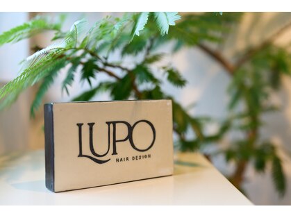 ルポ(LUPO)の写真