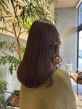 ルプラス(le place.) ボルドーカラー