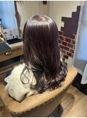 ラベンダーブラウン