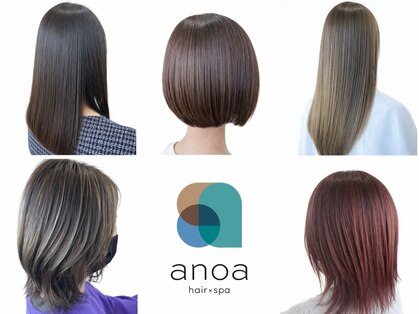 アノア(anoa)の写真