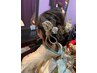 成人式  着付け＋ヘアセット【TELにて予約確認のみ】