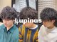 ルピナス(Lupinus)の写真